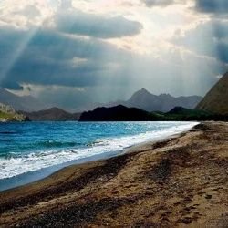 yeluohuashuang's profile picture. 