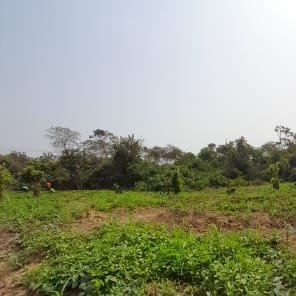 A Farm for gardening, breeding, cropping and practically of some farm produce; rice, cucumber, okro, maize, piggery, palm kernel process plan, chicken.