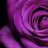 Garnell_Sydelle's profile image