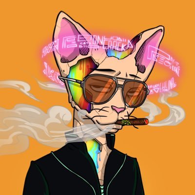 GunnerLoni's profile picture. I really like Arsenal. But you, do you like Arsenal or just Arsenal with Trophies? 🔴⚪ #VictoriaConcordiaCresit