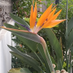 Mcarmen Porras Jaime (@mcarmen_jaime) Twitter profile photo Mcarmen Porras Jaime (@mcarmen_jaime) Twitter profile photo