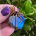 Wizarding Arts (@wizardingartsnc) Twitter profile photo Wizarding Arts (@wizardingartsnc) Twitter profile photo