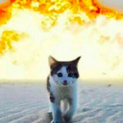 hii frens he/she follow @drainguttz soko#6300