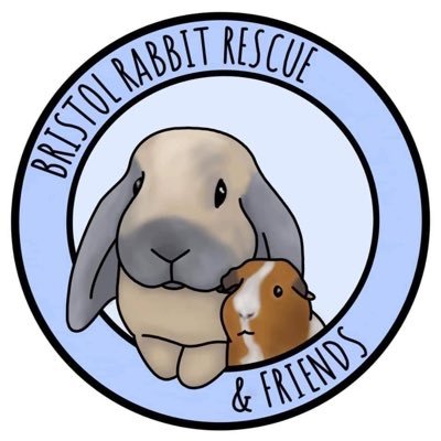 🐰🐹🐭 We are a foster-based small animal rescue in Bristol. We rehome rabbits, guinea pigs, hamsters & other small furries 🐭🐹🐰 #littleliveshaverights