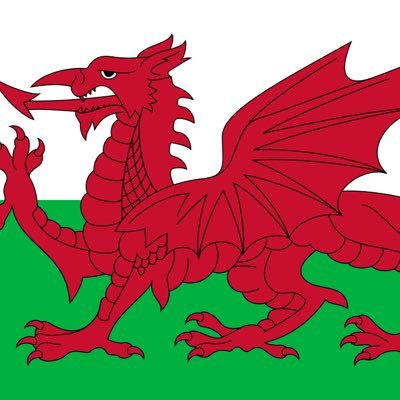 Rugby6Welsh's profile picture. Welsh Rugby Fan