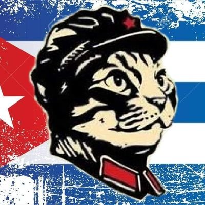 FidelCatto88's profile picture. Un gatto non molto affettuoso.