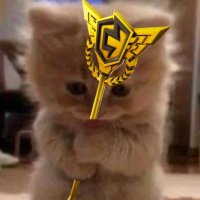 F7A Mouse(@Anonymouse_1x) 's Twitter Profile Photo