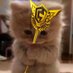 Mouse (@anonymouse_1x) Twitter profile photo Mouse (@anonymouse_1x) Twitter profile photo