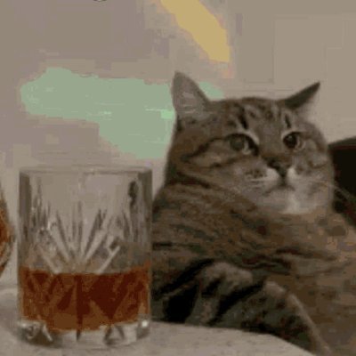 blinkert0nave's profile picture. 