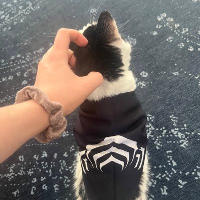 flurfyjewelWF's profile picture. A warframe captura enjoyer. Perhaps even an artist, you could say. PS4 | MR31 | IGN flurfyjewel