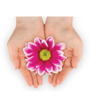 ChurchBlooms's profile picture. http://t.co/IBnAerg5gn is a unique give-back Donation Program at no cost for churches and church members who buy flowers and gifts during the entire year.