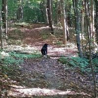 Mark Coyle (@markysparky519) 's Twitter Profile