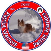 Tony Iannitelli (@tonyiannitelli) Twitter profile photo