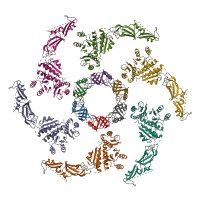 Anna Niewiadomska (@amniewiadomska) 's Twitter Profile Photo