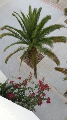 nyloneric7's profile picture. Travesti mature crédible je plaît beaucoup ouverte à des rencontres sympa avec des hommes OK si  dessous féminin et sans poils