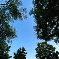 T🤍|| لعيونها بس (@tama_m_a) 's Twitter Profile Photo T🤍|| لعيونها بس (@tama_m_a) 's Twitter Profile Photo