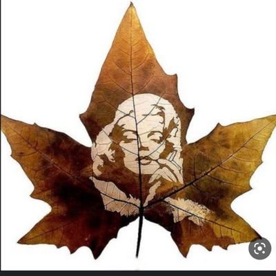 امرأه من ورق