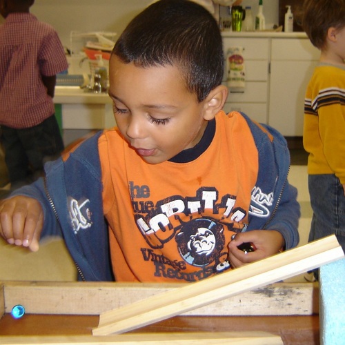 NAEYC EC Science Profile