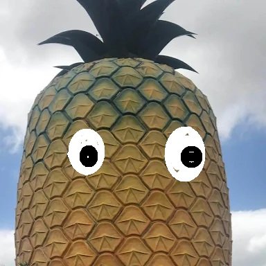 BertPineapple Profile Picture