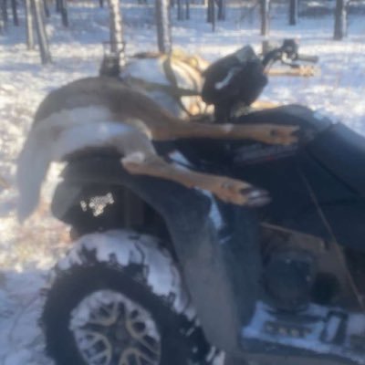 honkytonkman86's profile picture. beer drinkin, meat eatin,gun slingin,denim wearing ,diesel burnin,wood choppin ,steel smashing SOB