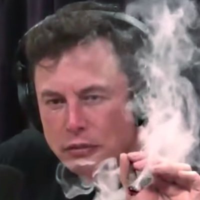 ElonMuskJr__ Profile Picture