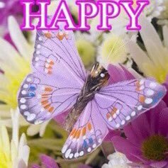@Anna527777777