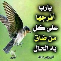 عمرعلي احمد الصبيحي (@shqyr_mr) 's Twitter Profile