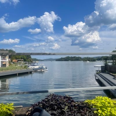 arsenedic's profile picture. 