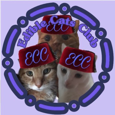 Kitty mom, I love Jesus! I’m a mother and grandmother. Love animals; 3 kitties. Biscotti Ben, Linguine Lily & Honey. Proud Members of Edible Cats Club & NPC.