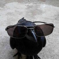 D: all for the game (@f7cstos) 's Twitter Profile
