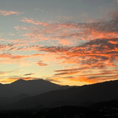 Por vocación Ing. de Mercados, amante de la vida en todas sus expresiones, de la sencillez y las mentes sensatas. Guiada siempre por Dios!🙏🏼💫🇨🇴