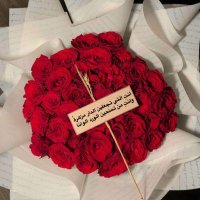 الأموش🕊 (@al_amosh95) Twitter profile photo