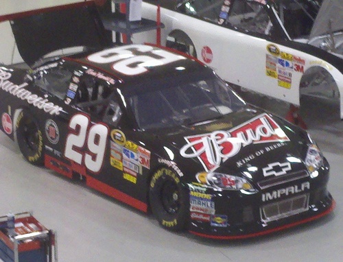 huge Kevin Harvick, KHI, RCR Austin Dillon fan, spend as much time @races, tooling leather, or riding my Harleys as possible! Married to @vengeance071