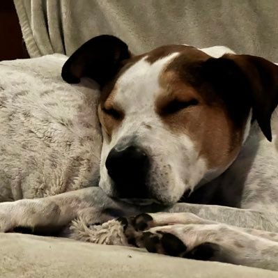 networkd's profile picture. Huh?