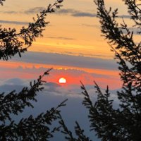 Dml0100(🐝,🐝) 9330 (@dml0100) 's Twitter Profile