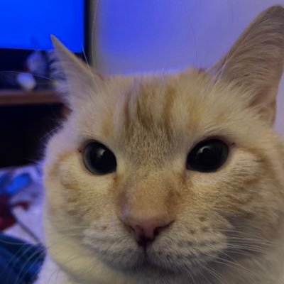 AndrewT46387852's profile picture. 