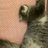 meuyywah's profile image