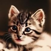 YANGSKYBEYDU's profile picture. 