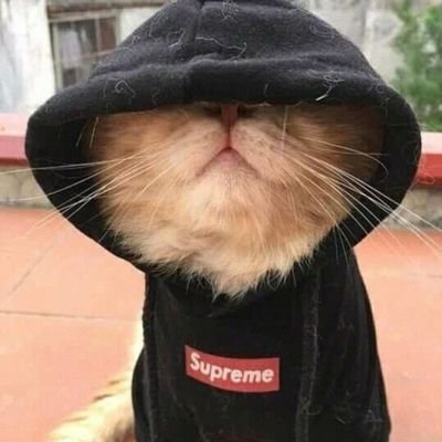 I_4M_VI5H4L's profile picture. 