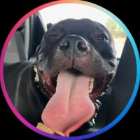 🕊TimeToFly🕊 (@ghost_403) 's Twitter Profile