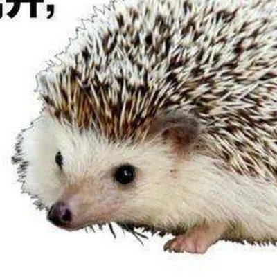 lngunhu7's profile picture. 