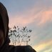 Zainab (@zainabd343) Twitter profile photo Zainab (@zainabd343) Twitter profile photo