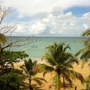 Yvette Roman - @Evies2Cents - Twitter