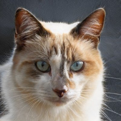 AmandaM76189628's profile picture. 