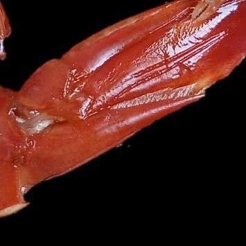 present200's profile picture. 悩みはスペック不足でTikTokが観れないことです。困ります。