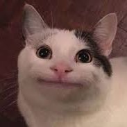 minedatacraft's profile picture. hodler