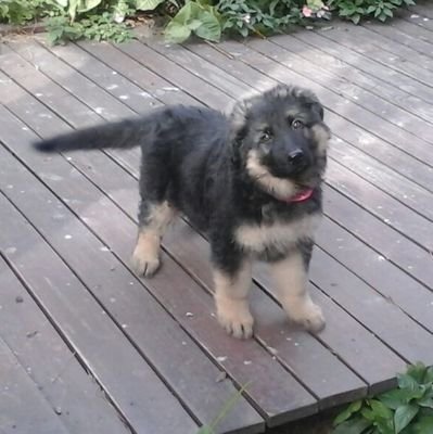 tommora18's profile picture. 