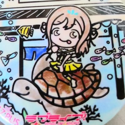 沼津港にある元漁師が造る寿司屋です。 ❇営業時間:平日10:30~16:00土日10:30~16:00❇コース料理、お寿司、漁師丼、定食、一品料理などございます❇ドリンクは一杯無料❇駐車場有❇落ち着いた雰囲気でゆっくり食事が出来ます❇悪魔の美肌プリンは土日販売❇