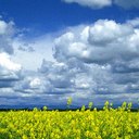 Eri Ramirez - @erikarmza - Twitter