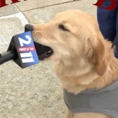 _weknowball's profile picture. Just a couple of guys who hate Dabo Swinney and happen to talk about it into a microphone. New episodes every Tuesday and Thursday!